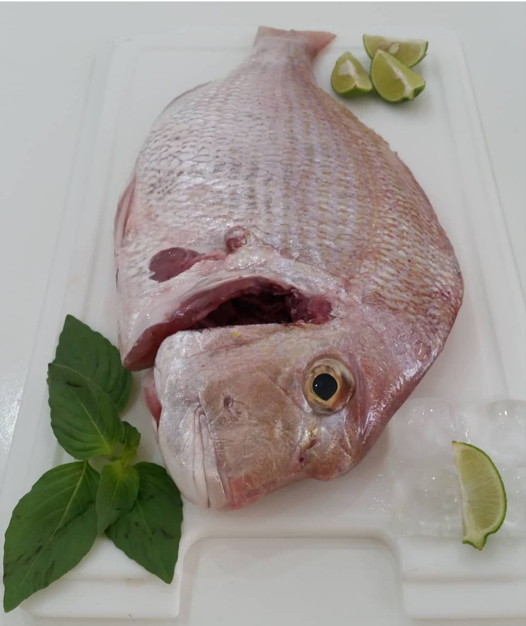 ماهی شانک صورتی یا کُخو 