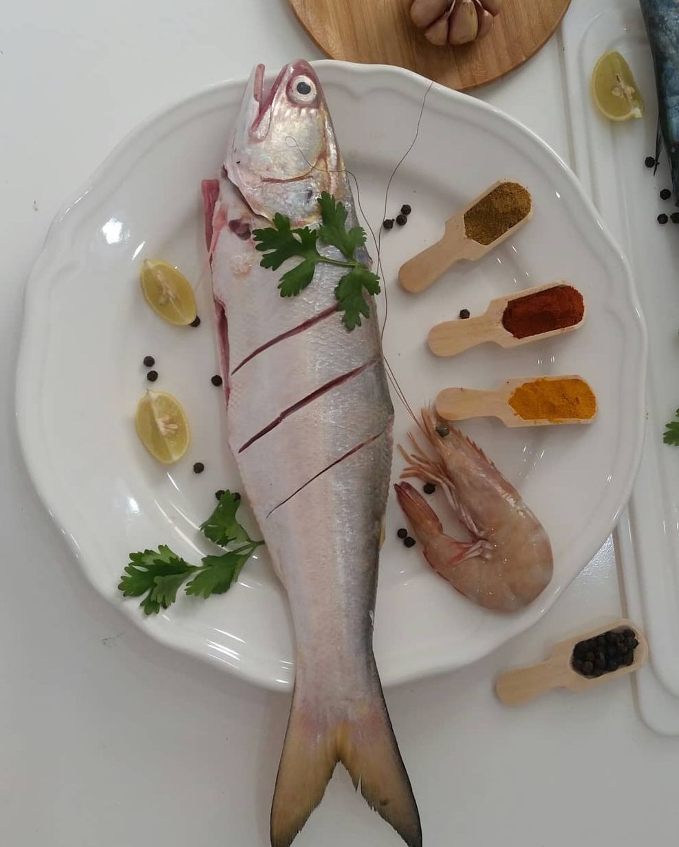 ماهی راشگو متوسط تک پرسی (وزن هر ماهی حدود ۴۰۰ گرم)