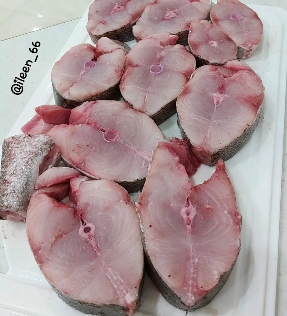 ماهی همام یا کبوتر ماهی یا لقمه ماهی 