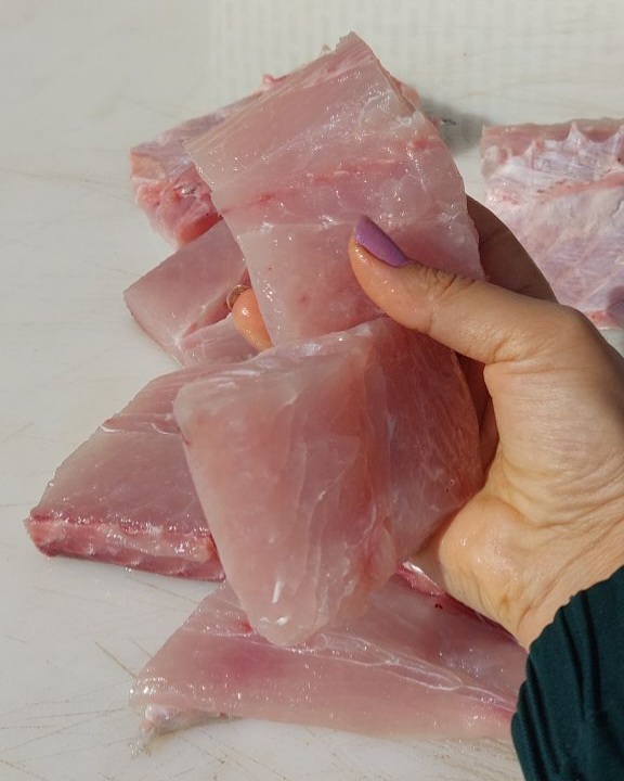 ماهی جش سفید(لطفا وزن ماهی سه کیلو و بیشتر ثبت کنید )