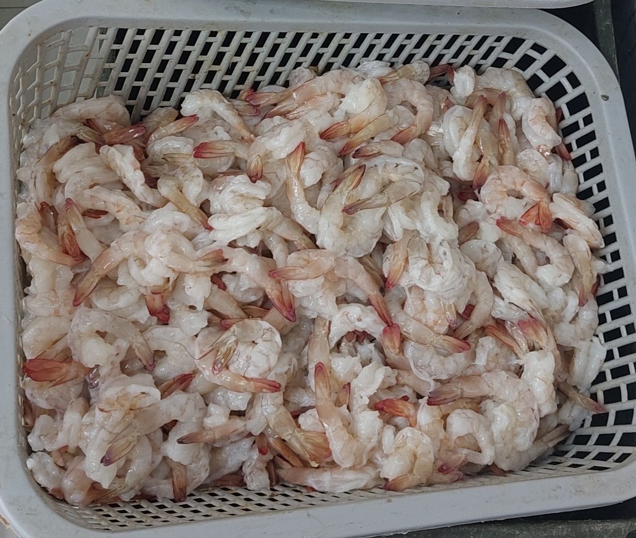 میگو صورتی سایز 30 تا 40 عدد یک کیلو