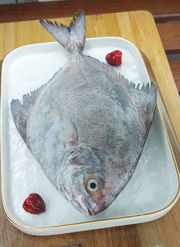 ماهی حلوا سیاه 