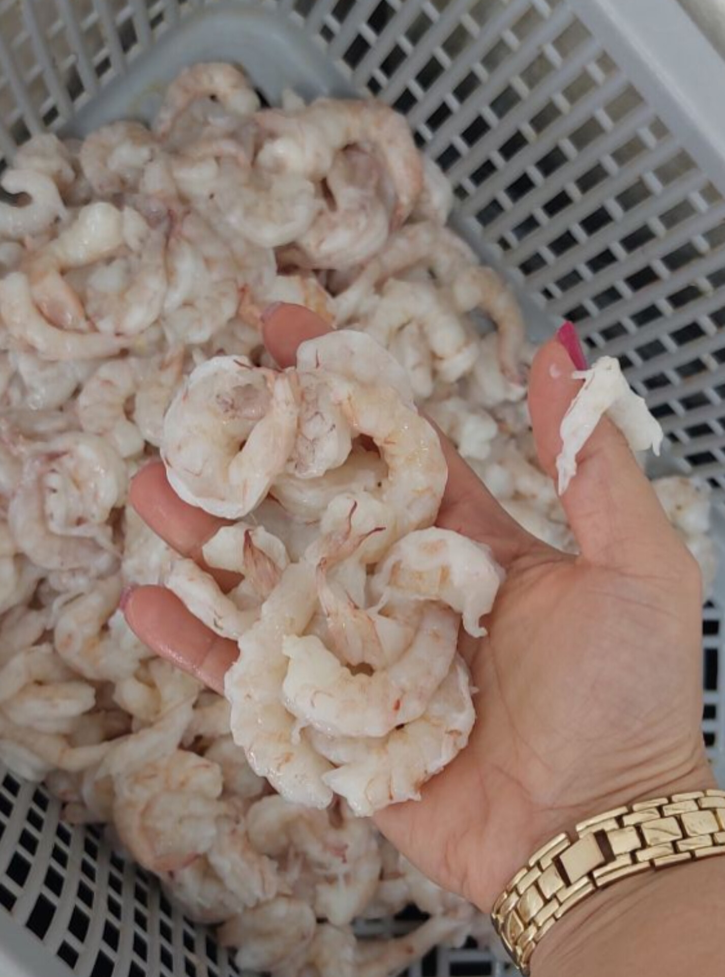 میگو متوسط رو به درشت صورتی 