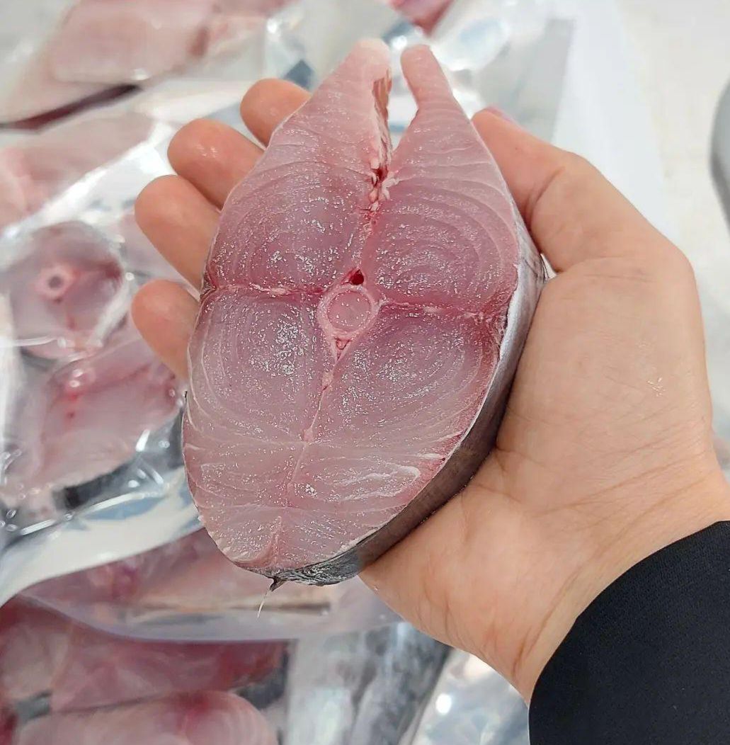 ماهی شیر درشت 